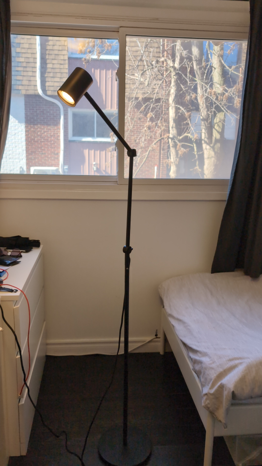 Adjustable Floor Lamp - Black