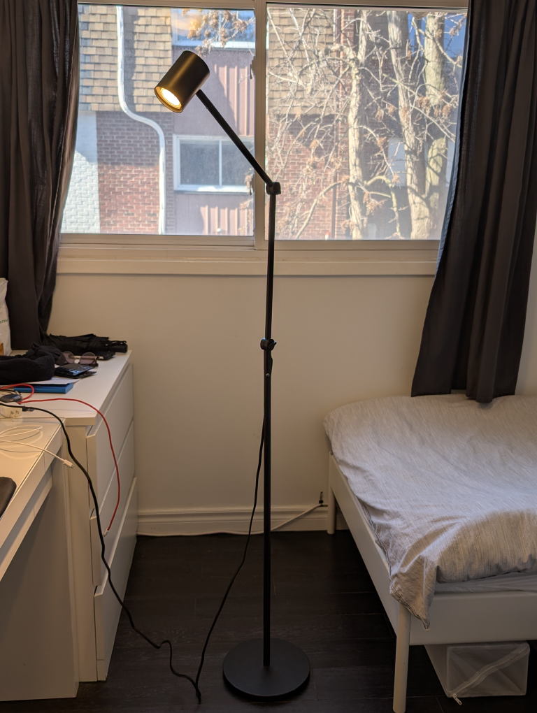 Adjustable Floor Lamp - Black - photo 2