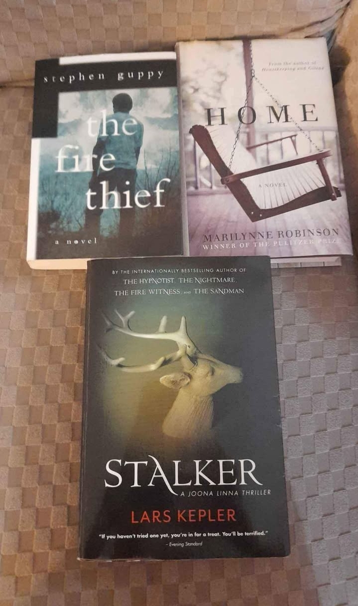 Three  Books: The Fire Thief, Home, Stalker