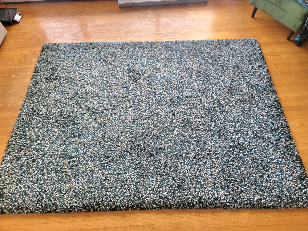 Teal and White Shag Rug - photo 3
