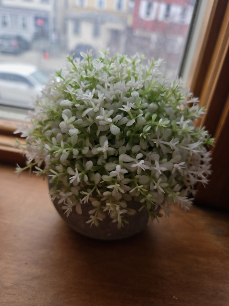 Set of 3 Artificial Potted Plants - photo 4