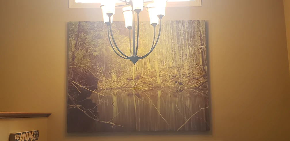 Large Canvas Wall Art - Forest Reflection