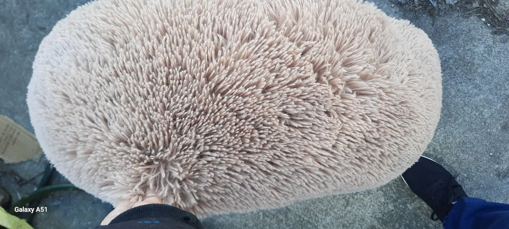 Round Pet Bed - Beige Fluffy image indicator(2)