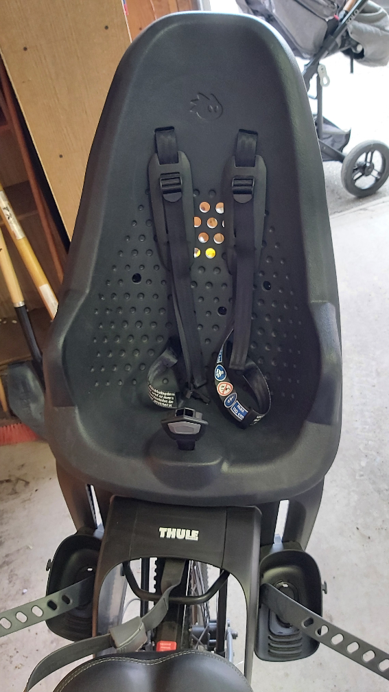Thule Yepp 2 Maxi Child Bike Seat - photo 4