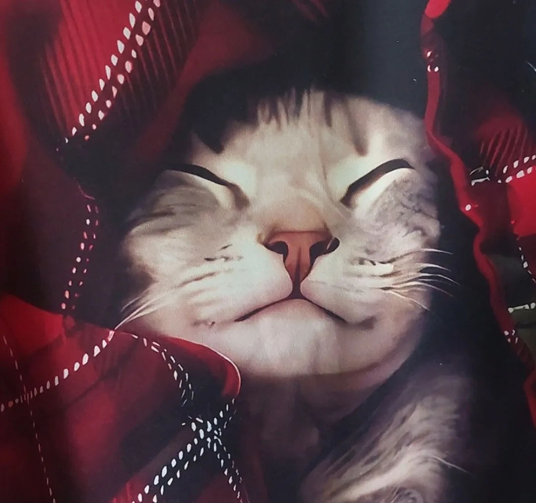 cat shirt image indicator(6)