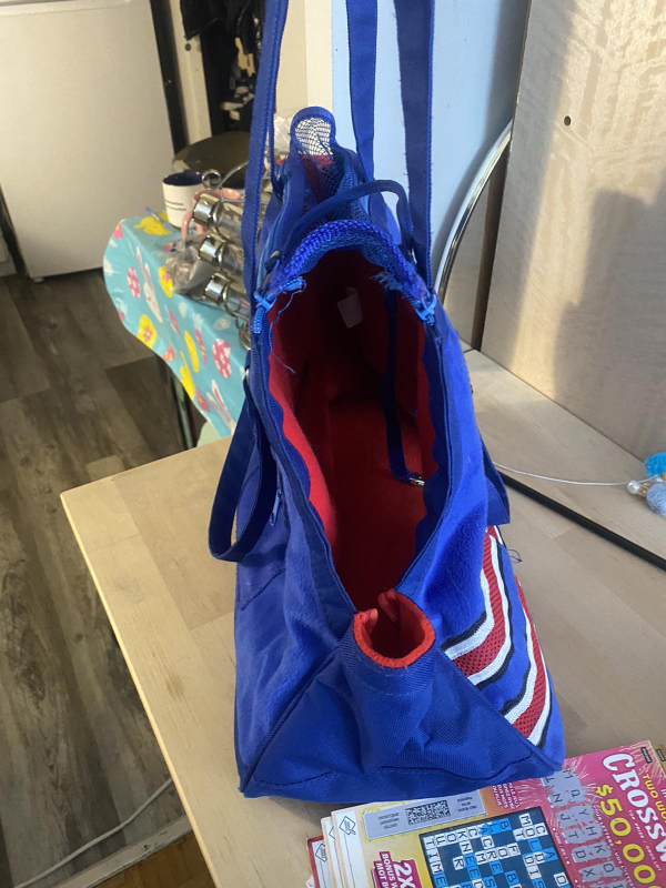 Blue Pet Carrier Tote Bag - photo 4