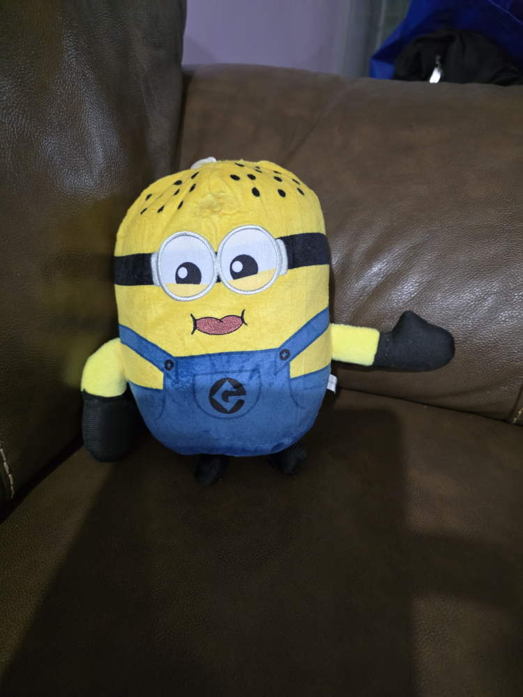 Minions Plush Toy
