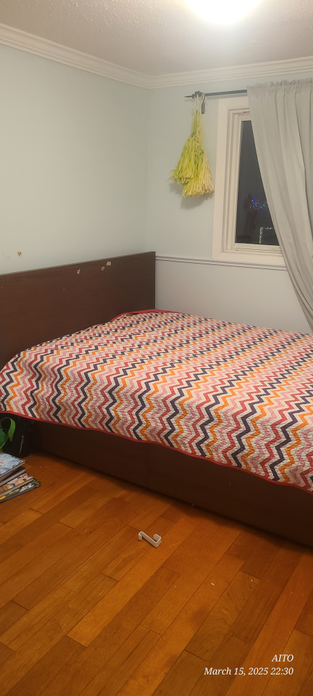 Free queen bed with mattress