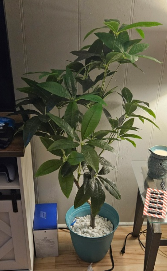 Artificial Schefflera Plant in Teal Pot - photo 2