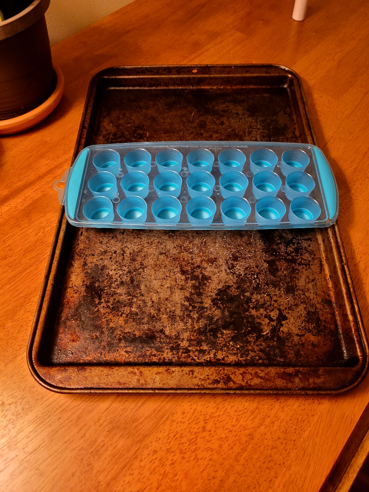 Baking Sheet and Ice Cube Tray 💚🥕