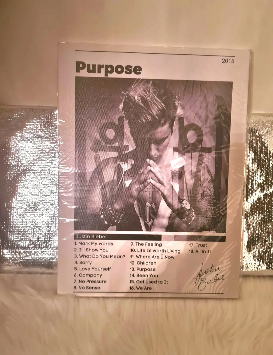 Justin Bieber Album Covers - Canvas Prints (Set of 3) image indicator(6)