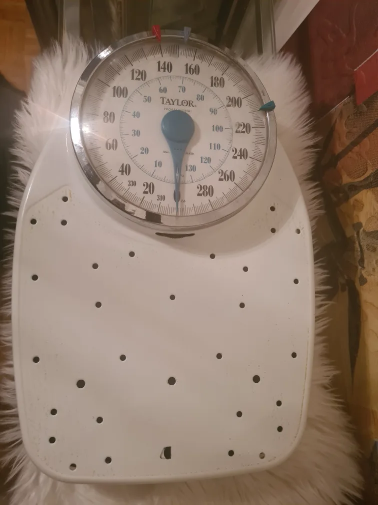 Vintage Taylor Professional Scale image indicator(2)