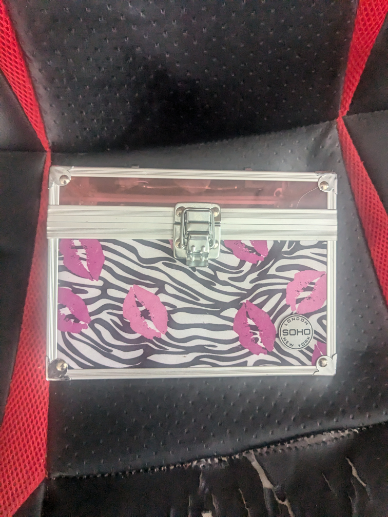 Soho New York Zebra Print Makeup Train Case