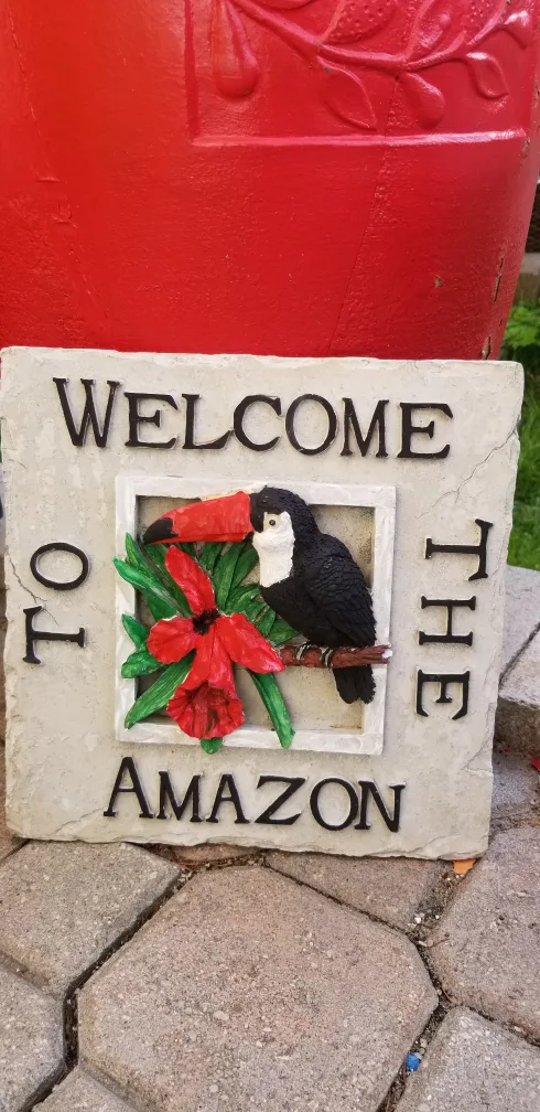 Welcome to the Amazon Toucan Stepping Stone image indicator(2)