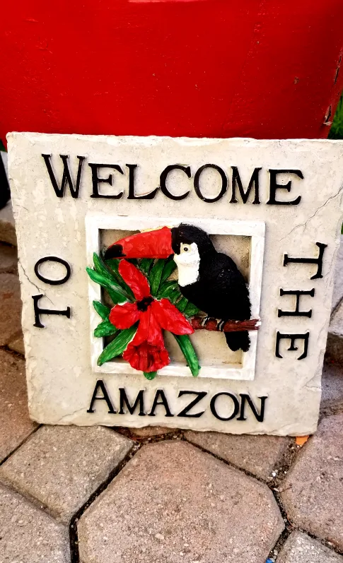 Welcome to the Amazon Toucan Stepping Stone image indicator(4)