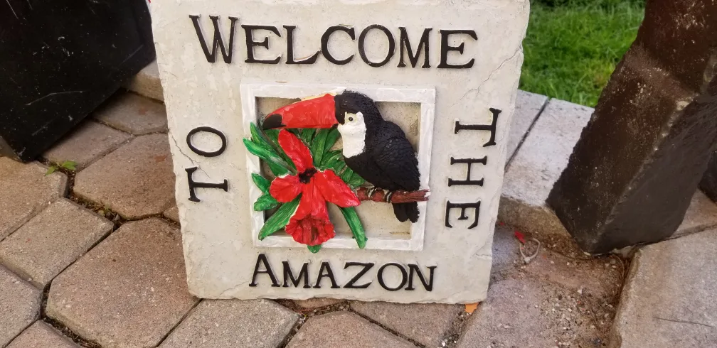 Welcome to the Amazon Toucan Stepping Stone image indicator(6)