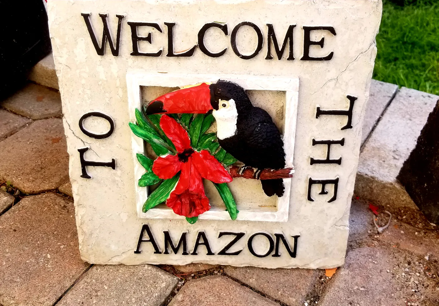 Welcome to the Amazon Toucan Stepping Stone image indicator(7)
