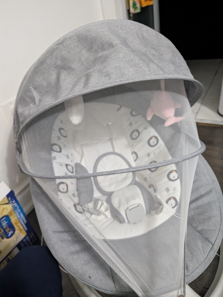 Baby Bouncer with Canopy