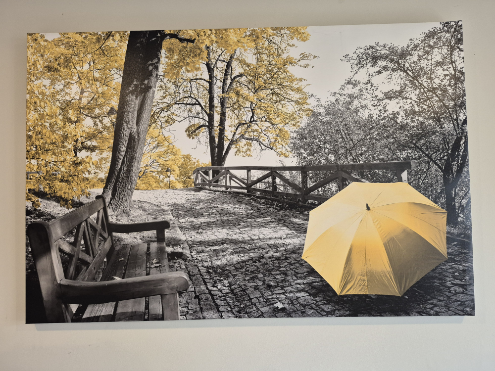 Wall Art Frame