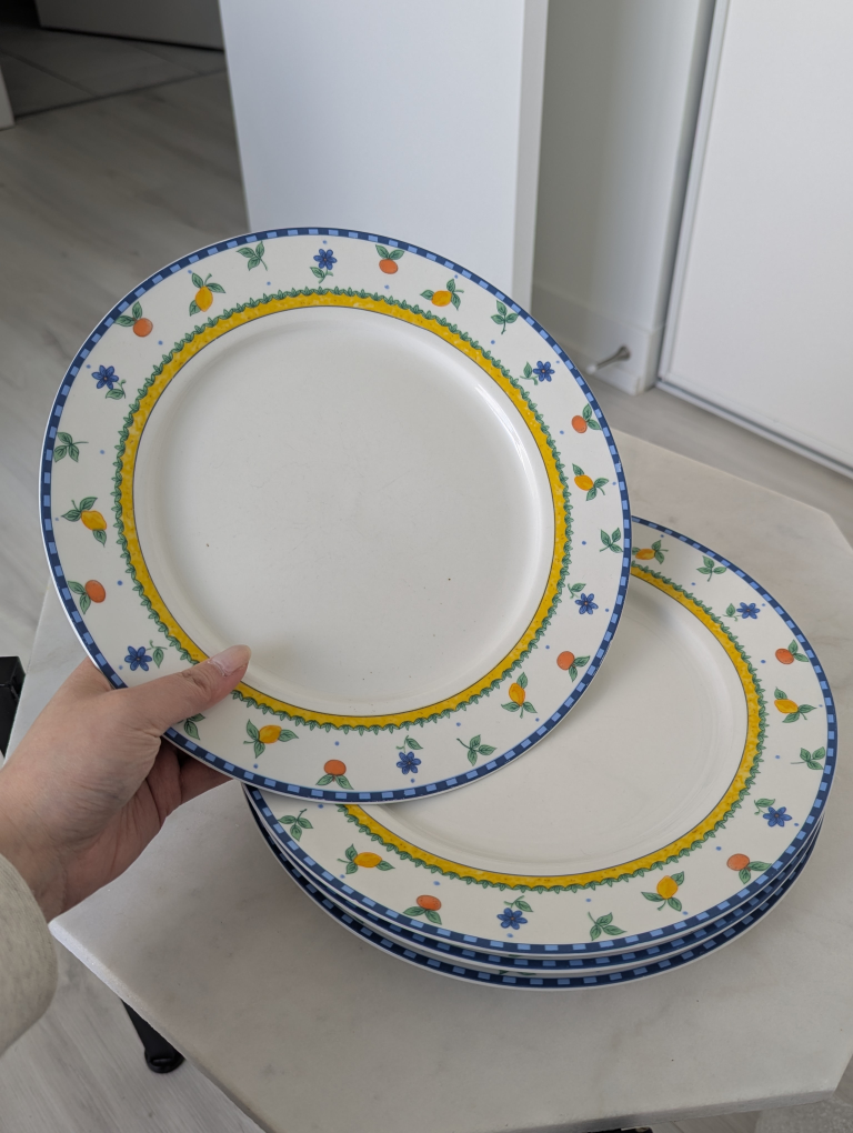 Set of four Fine Porcelain China dinner plates