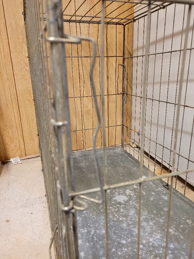 Dog Crate- Large image indicator(4)