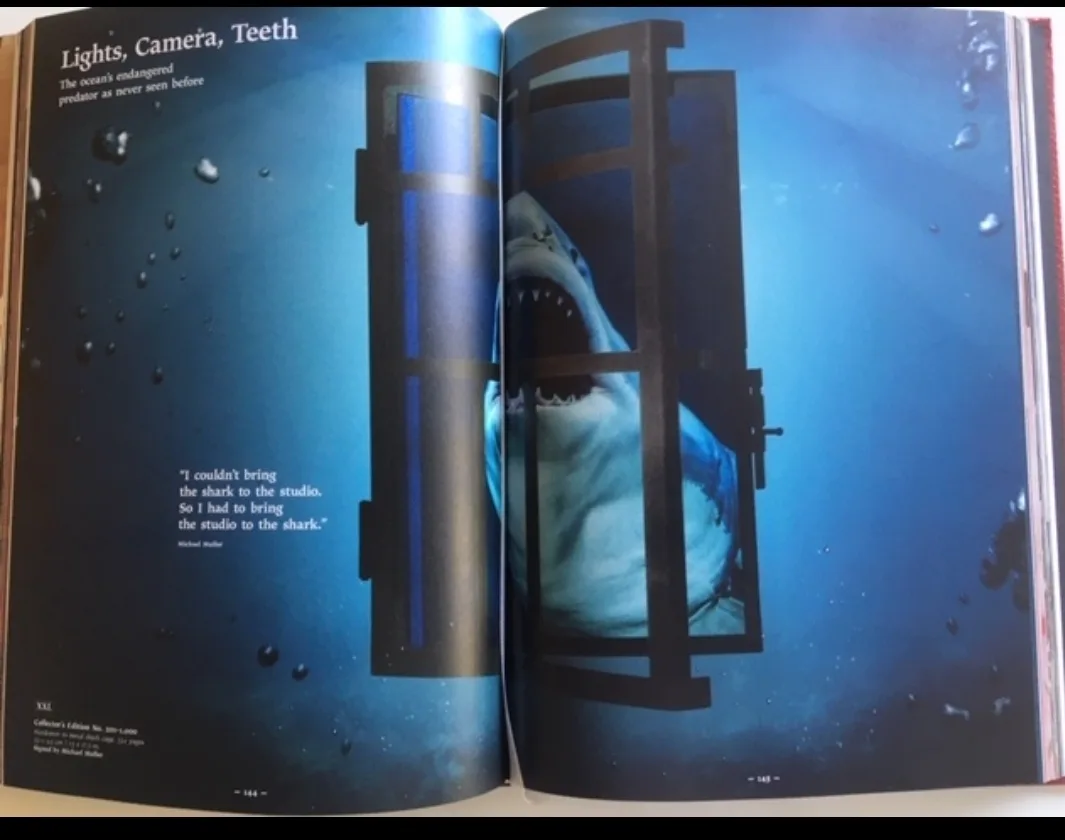 Taschen Limited Editions 2018/19 Book image indicator(5)