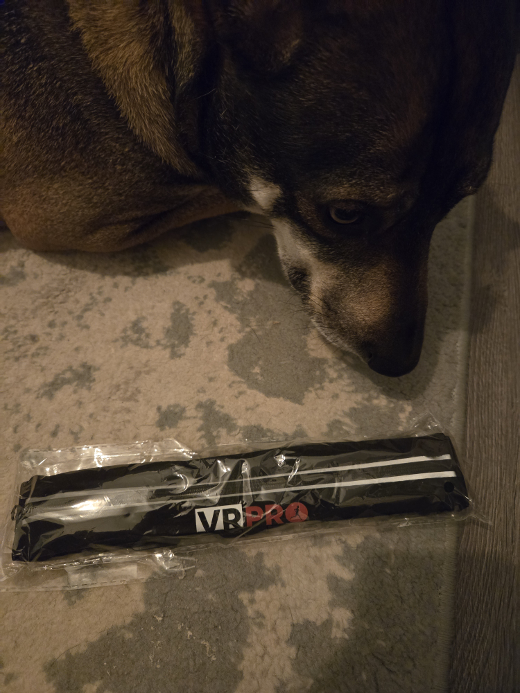 Free VR PRO Running Belt