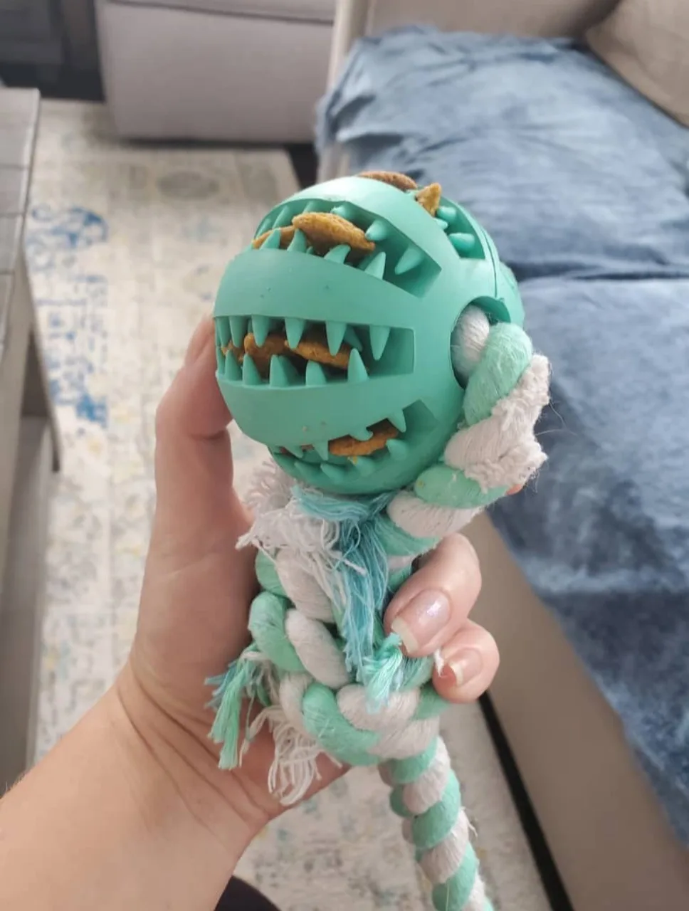 $10.00 / Walk Dog Walking - We are here, and always will be ♾️ image indicator(3)