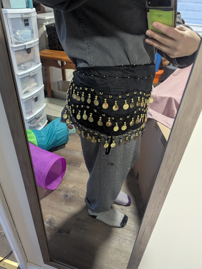 Belly Dance Belt - Black with Gold Coins