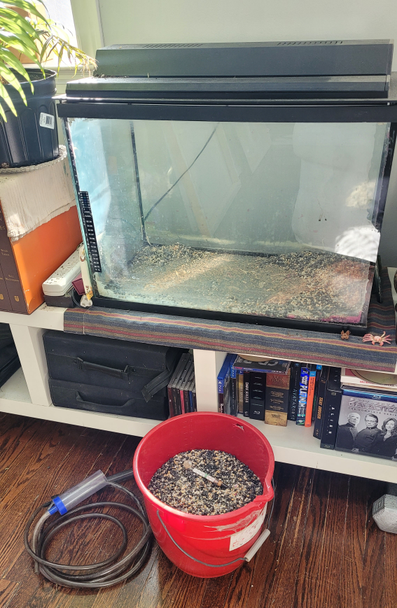 Used Aquarium Gravel and Accessories