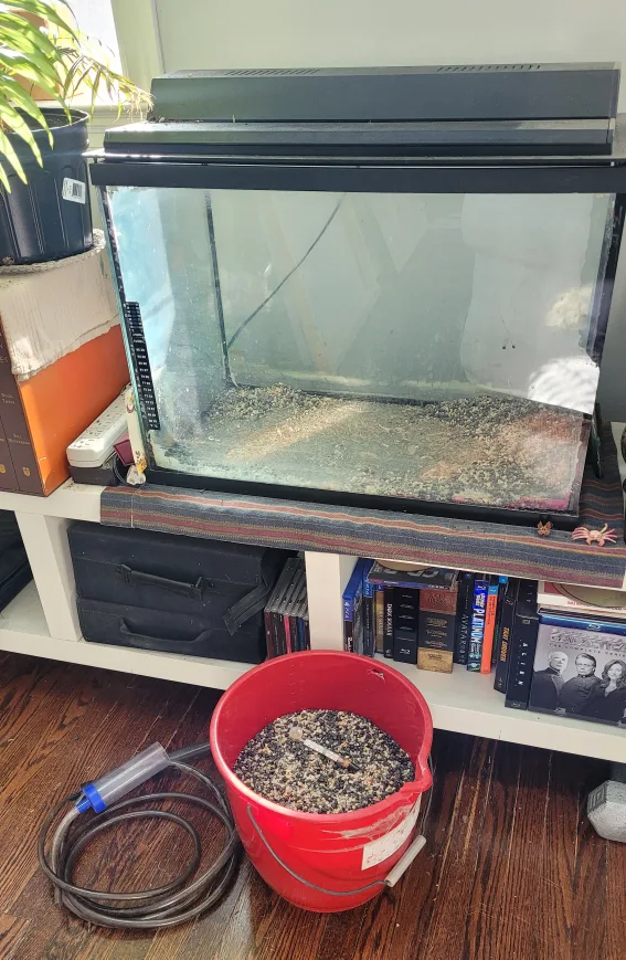 Used Aquarium Gravel and Accessories thumbnail