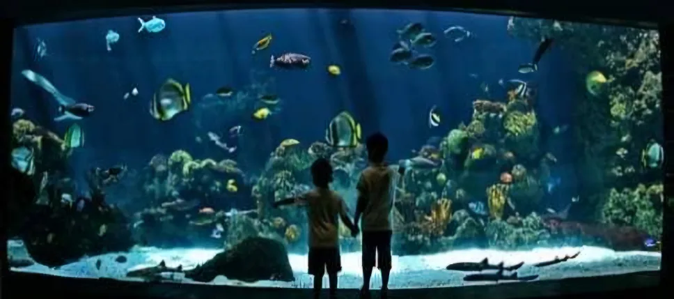 $10.00 / Visit Drop-In Visits  - We are here, and always will be image indicator(7)