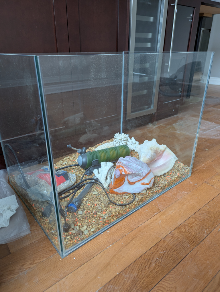 free fish tank and accessories