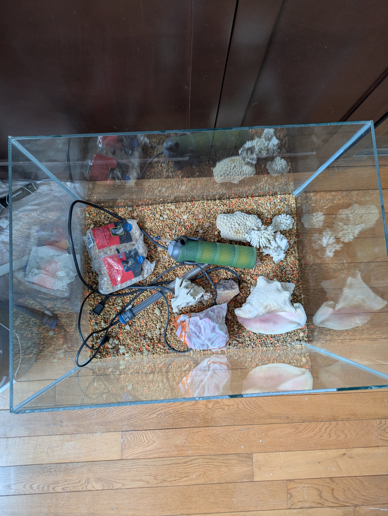 free fish tank and accessories - photo 3