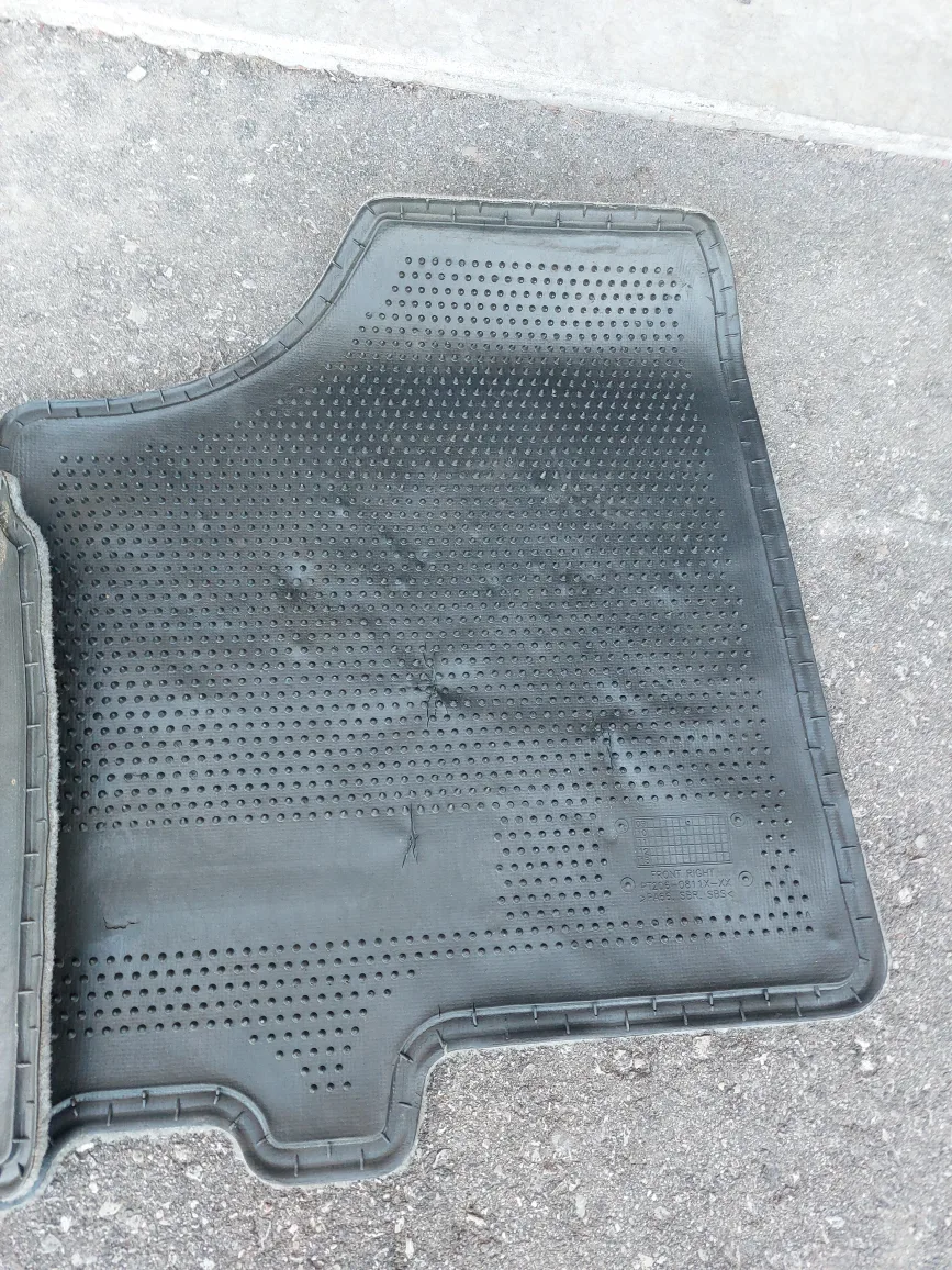 2009 Toyota Sienna Front Floor Mats - Pair image indicator(5)