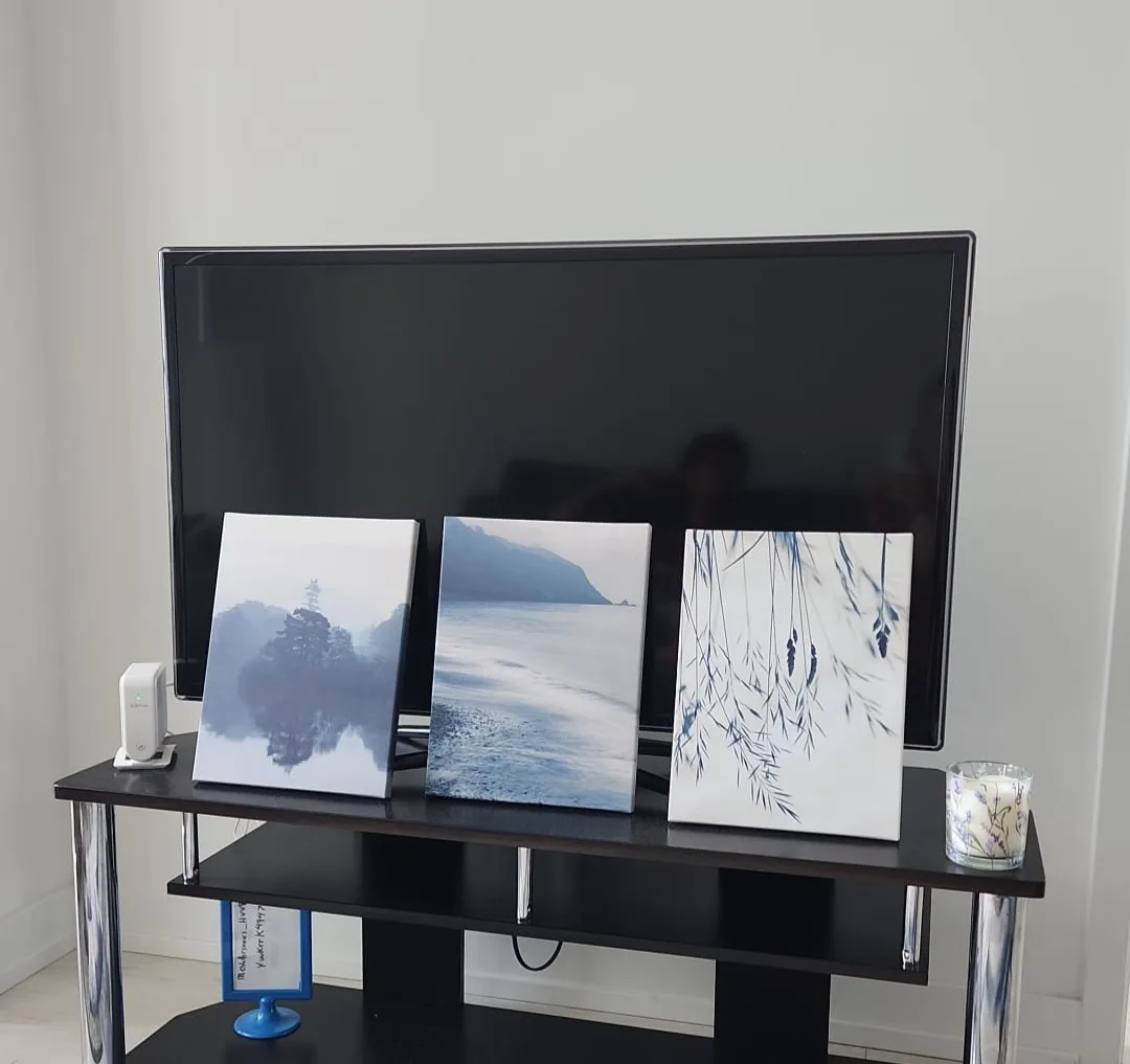 Set of 9 Canvas Paintings image indicator(3)