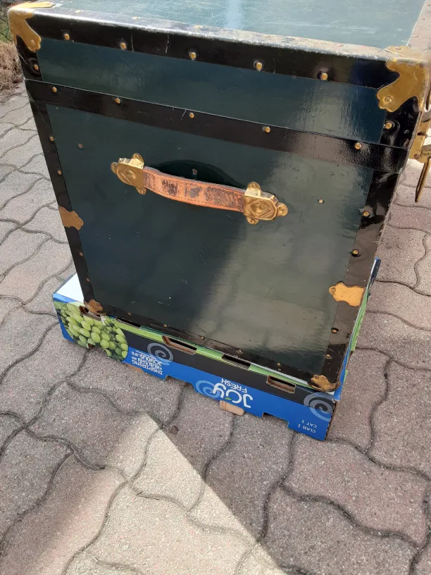 Antique Storage Trunk | Monarch Luggage image indicator(4)