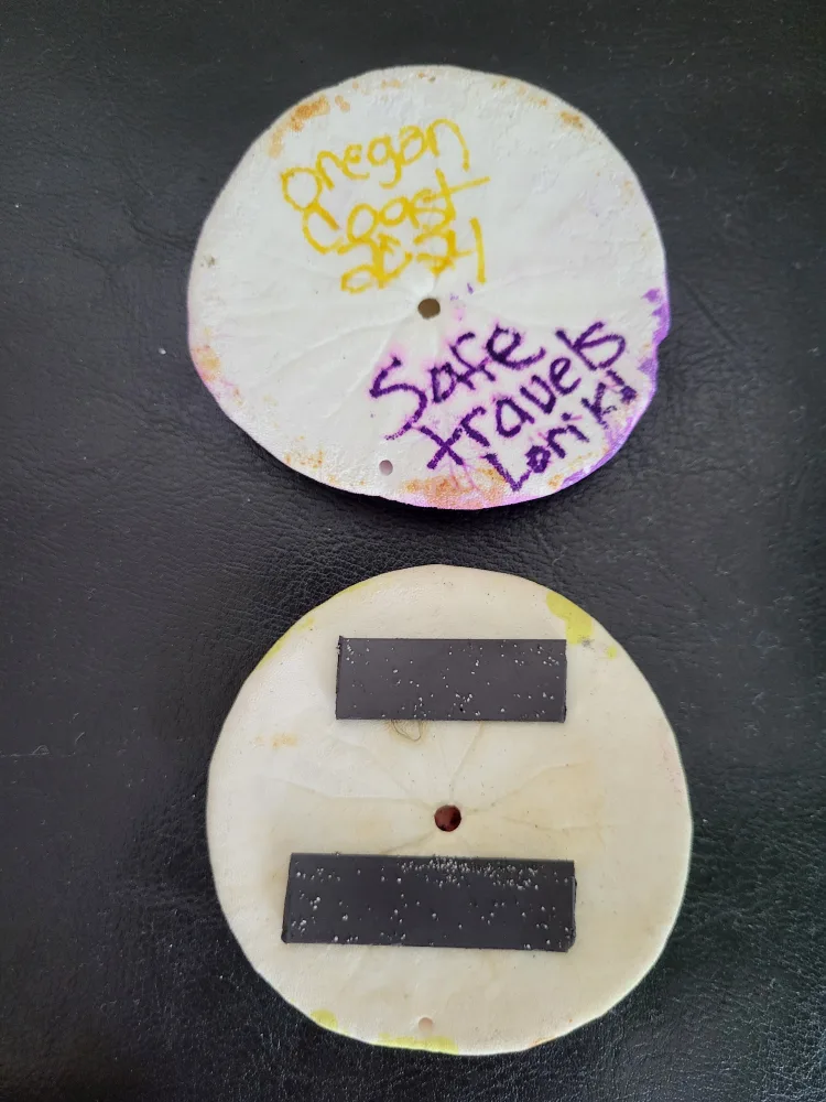 Hand painted Sand Dollars image indicator(3)