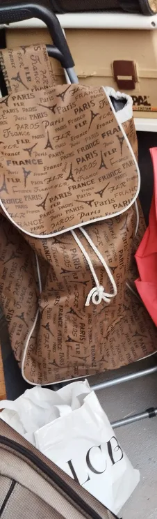 Paris-themed Shopping Cart Bag thumbnail
