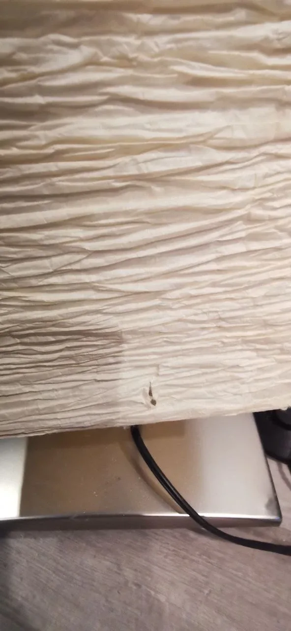 Floor Lamp #freecycle image indicator(3)