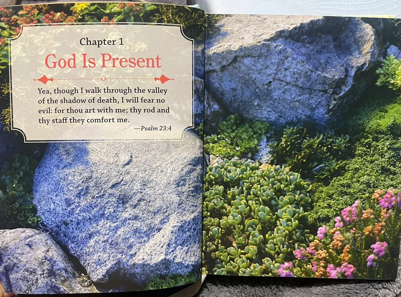 Daily Words of Comfort Book(Padded Hardcover) image indicator(4)