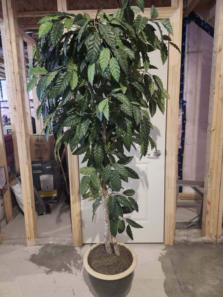 Artificial Plant in Pot