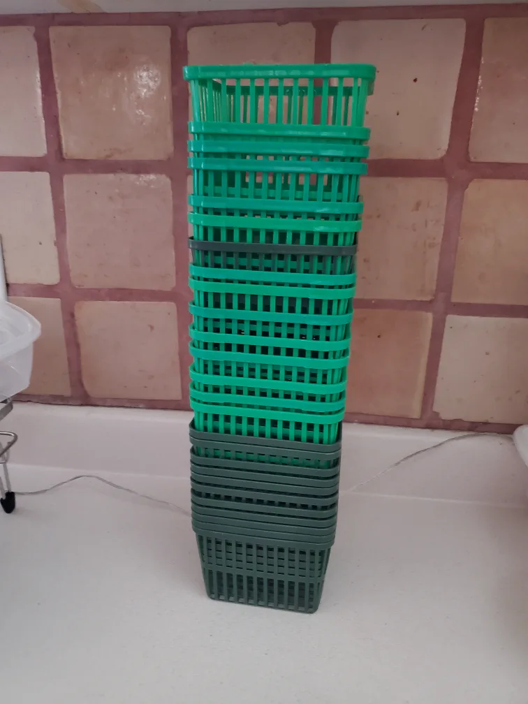 Pint Fruit /Strawberry Basket Containers Strong Green Plastic 65 image indicator(3)