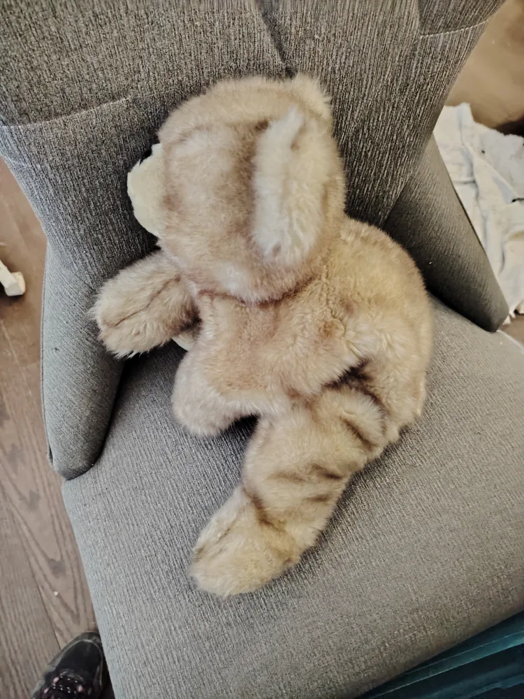 Adorable Plush Animal Collection - Bear and Bunny image indicator(2)