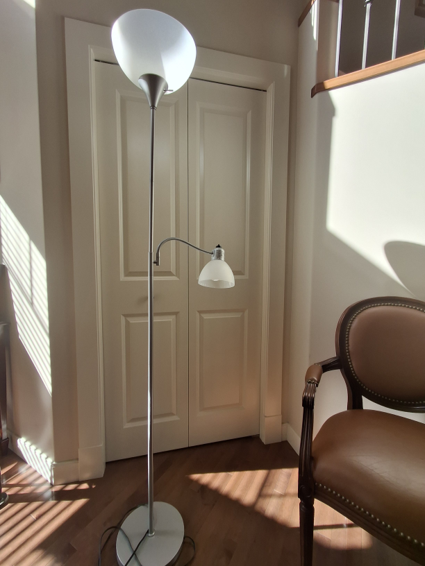 Modern Arc Floor Lamp with Two Shades