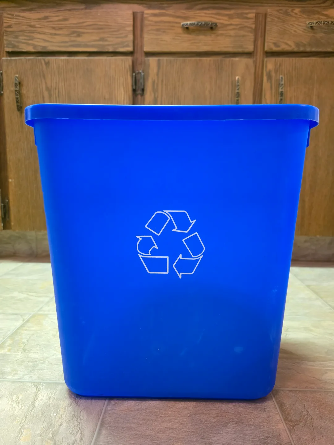 Recycling Bin thumbnail