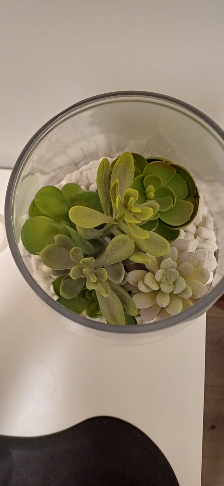 Artificial succulent arrangement in glass bowl