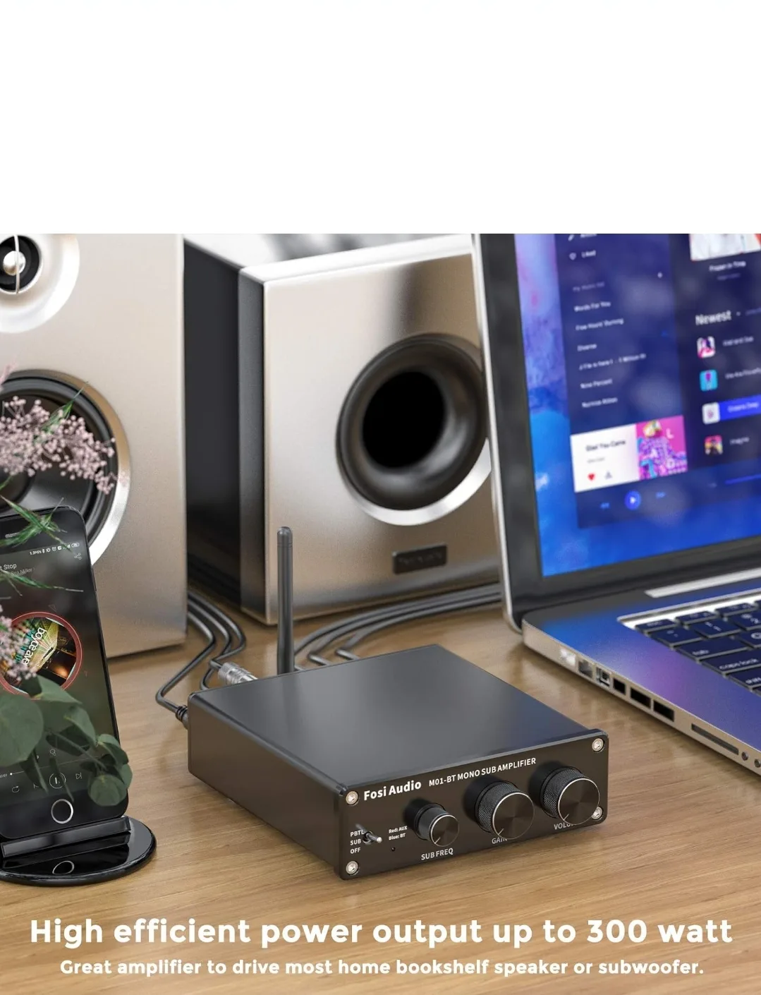Fosi Audio M01-BT Mono Sub Amplifier image indicator(2)