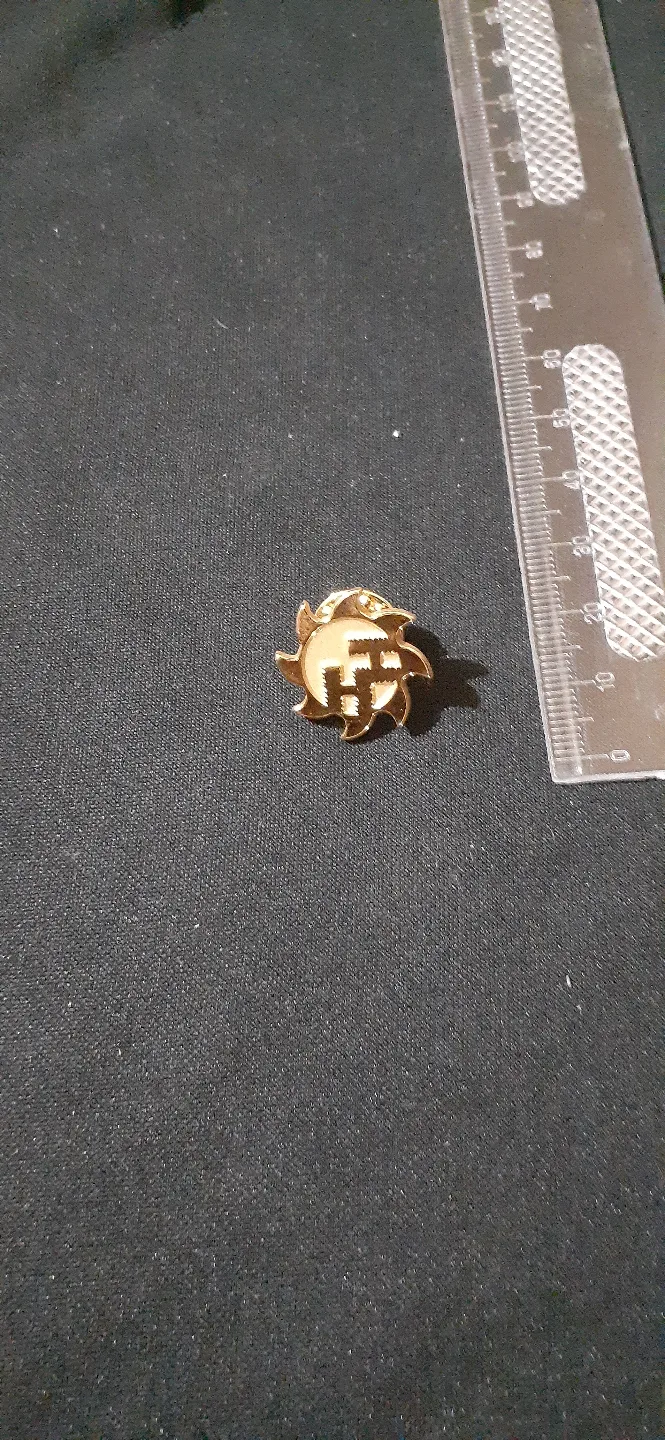 Gold-tone sunburst lapel pin image indicator(2)