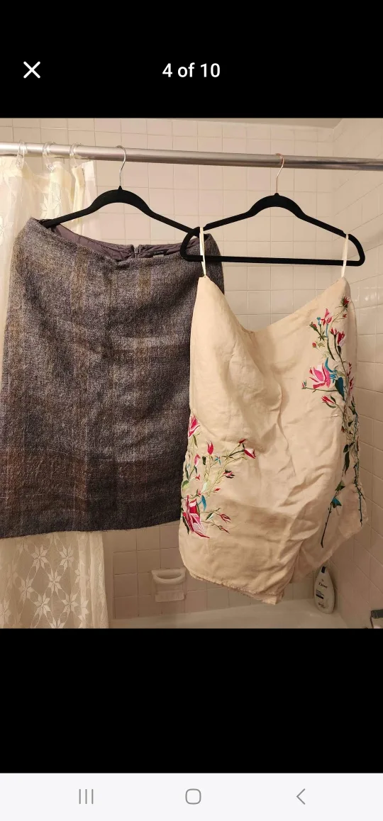 SKIRTS image indicator(3)